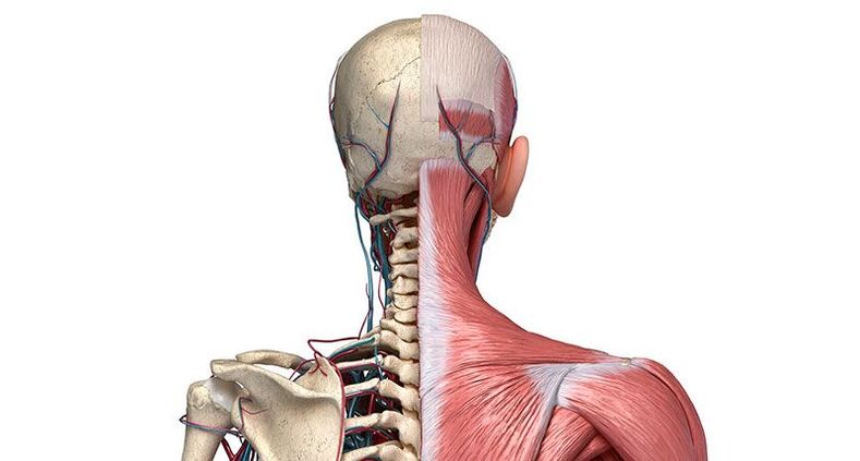 cambios degenerativos en las vértebras